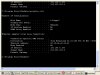 Using the remote command shell feature in WinGate, you can execute console commands on the WinGate server remotely.  This allows you to do things like ping hosts, change the route table, run scripts, reboot servers etc.